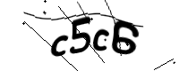 captcha_img